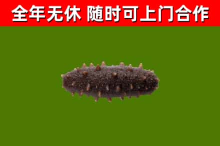 浏阳烟酒回收干海参.jpg